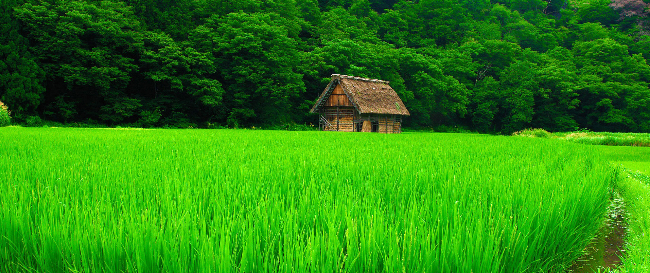 理光RICOH打印机02系列的清除左下角提示碳粉几乎为空代码命令